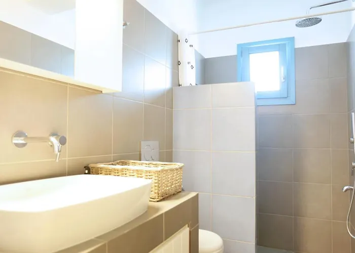 E & I Lefkes Paros Daire *